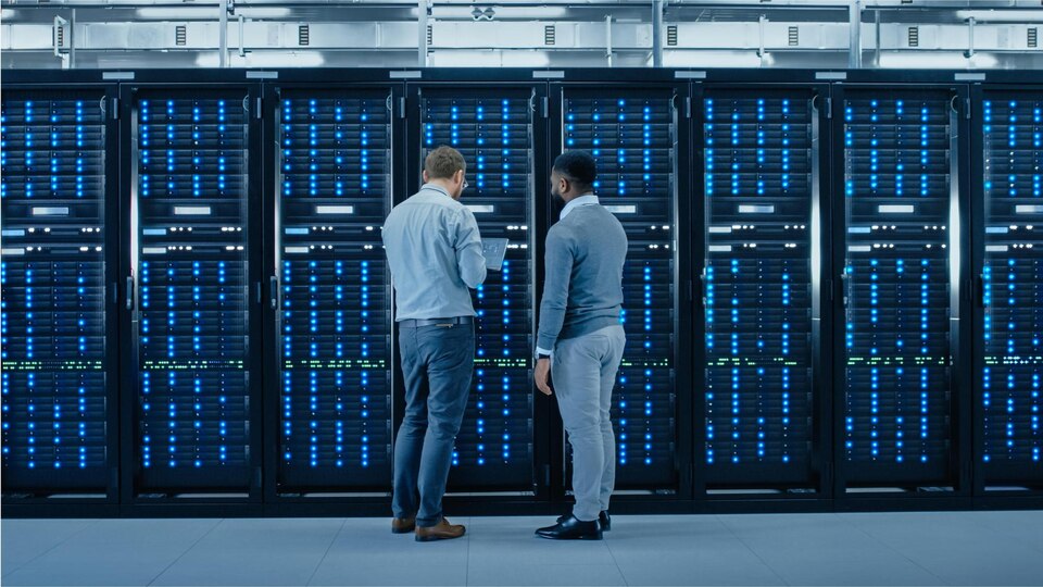 Web Hosting vs Dedicated Server